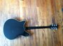 Rickenbacker 360/6 , Jetglo: Full Instrument - Rear