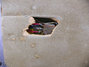 Dec 1952 Rickenbacker Console 200/12 Console Steel, Blonde: Body - Rear