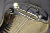 Rickenbacker NS 100/6 LapSteel, Silver: Close up - Free2