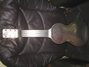 Rickenbacker 59/6 LapSteel, Gray: Free image2