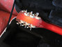 Rickenbacker 660/12 , Fireglo: Neck - Rear