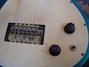 Rickenbacker 400/6 Refin, Custom: Close up - Free2