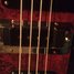 Rickenbacker 4003/4 Refin, Custom: Close up - Free2
