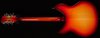 Rickenbacker 330/12 , Fireglo: Full Instrument - Rear