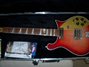 Rickenbacker 660/12 , Fireglo: Close up - Free