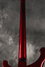 Rickenbacker 4003/4 , Ruby: Neck - Rear
