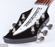 Rickenbacker 325/6 V63, Jetglo: Close up - Free2