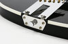 Rickenbacker 660/12 , Jetglo: Free image