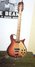 Rickenbacker 660/12 TP, Fireglo: Full Instrument - Front