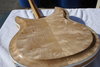 Rickenbacker 381/6 V69, Mapleglo: Full Instrument - Rear
