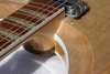 Rickenbacker 381/6 V69, Mapleglo: Close up - Free