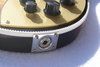 Rickenbacker 660/12 , MonteBrown: Free image2