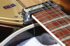 Rickenbacker 660/12 , MonteBrown: Close up - Free