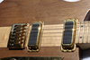 Rickenbacker 650/6 Dakota, Natural Walnut: Free image