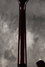 Rickenbacker 660/6 75th Ann, DCMetallic: Neck - Rear