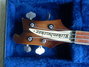 Rickenbacker 4001/4 , Autumnglo: Headstock