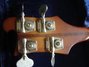 Rickenbacker 4001/4 BT, Walnut: Headstock - Rear