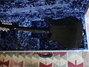 Rickenbacker 325/12 V63, Jetglo: Full Instrument - Rear