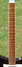 Rickenbacker 480/6 , Burgundy: Neck - Front