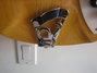 Rickenbacker 360/6 , Mapleglo: Free image2