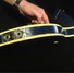 Rickenbacker 360/12 WB, Azureglo: Close up - Free