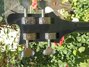 Rickenbacker 4001/4 , Jetglo: Headstock - Rear