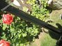 Rickenbacker 4001/4 , Jetglo: Neck - Rear