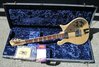 Rickenbacker 660/12 , Mapleglo: Free image