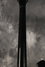 Rickenbacker 450/12 , Jetglo: Neck - Rear