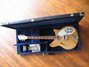 Rickenbacker 360/6 , Mapleglo: Free image
