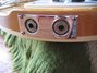 Rickenbacker 360/6 , Mapleglo: Close up - Free