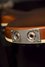 Rickenbacker 4001/4 BT, Autumnglo: Close up - Free