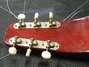 Rickenbacker 100/6 LapSteel, Burgundy: Headstock - Rear