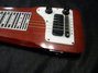 Rickenbacker 100/6 LapSteel, Burgundy: Body - Front