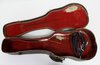Rickenbacker 59/6 LapSteel, Gray Sunburst: Free image