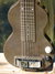 Rickenbacker Academy/6 LapSteel, Brown: Body - Front