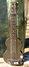 Rickenbacker Academy/6 LapSteel, Brown: Full Instrument - Front