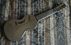 Rickenbacker NS 100/6 LapSteel, Silver: Full Instrument - Rear