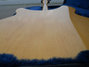Rickenbacker 330/6 , Mapleglo: Body - Rear