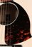 Rickenbacker 730/6 PW Build (acoustic), Blonde: Free image