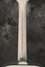 Rickenbacker 730/6 PW Build (acoustic), Blonde: Neck - Rear