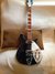 Rickenbacker 620/6 , Midnightblue: Neck - Front