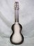 Rickenbacker 59/6 LapSteel, Gray Sunburst: Full Instrument - Rear