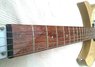 Rickenbacker 330/6 , Mapleglo: Neck - Front
