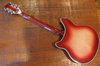 Rickenbacker 360/12 , Fireglo: Full Instrument - Rear