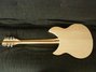 Rickenbacker 360/12 V64, Mapleglo: Full Instrument - Rear