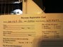 Rickenbacker 350/6 V63, Jetglo: Close up - Free