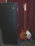 Rickenbacker 360/6 , Fireglo: Full Instrument - Front