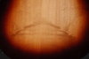 Rickenbacker 330/12 , MonteBrown: Free image2