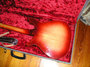 Dec 1959 Rickenbacker 450/6 Combo, Fireglo: Body - Rear